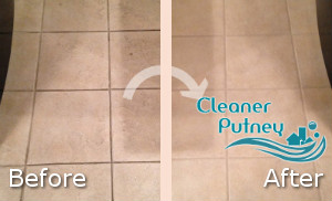 Kitchen Cleaning Putney